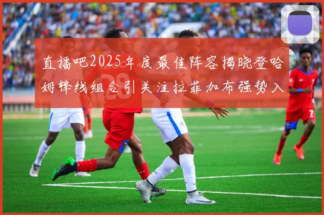 直播吧2025年度最佳阵容揭晓登哈姆锋线组合引关注拉菲加布强势入选