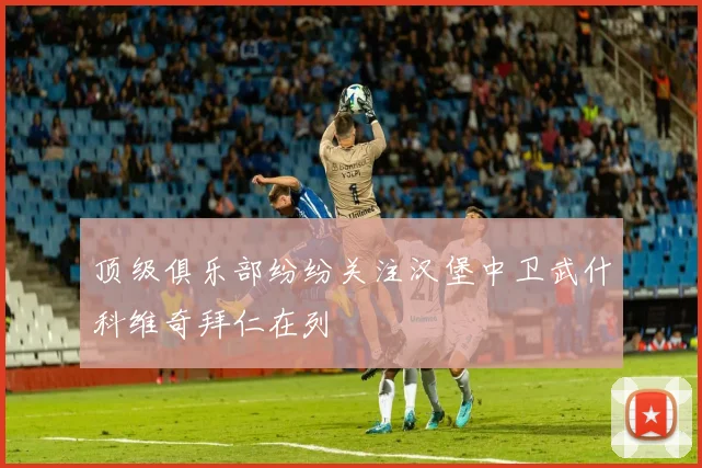 顶级俱乐部纷纷关注汉堡中卫武什科维奇拜仁在列